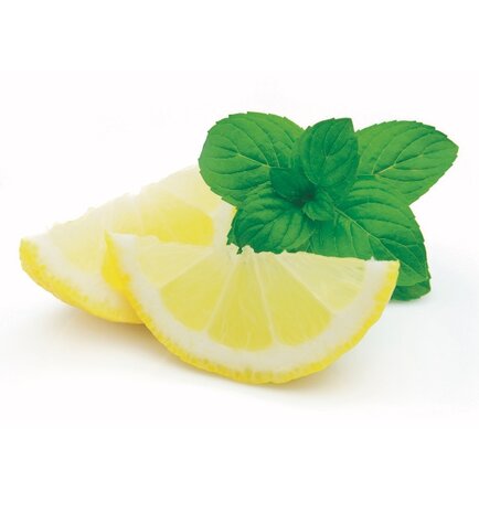 Ice Tea - 06-Green Tea Lemon 18x30gr.